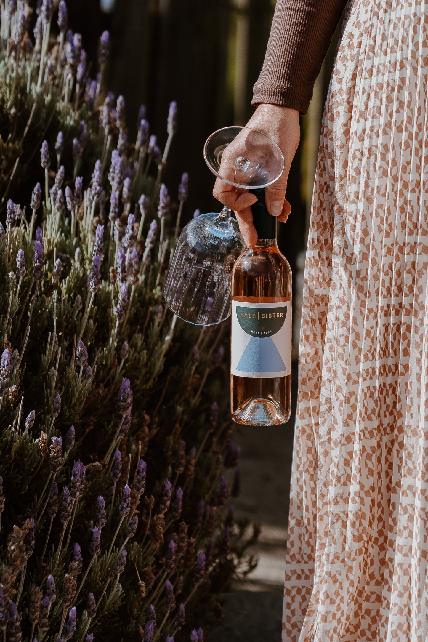 6 PACK | ROSÉ